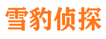 沅陵侦探公司